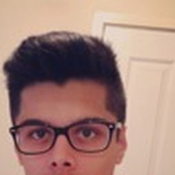 mircea_tm99