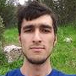 travel_mircea